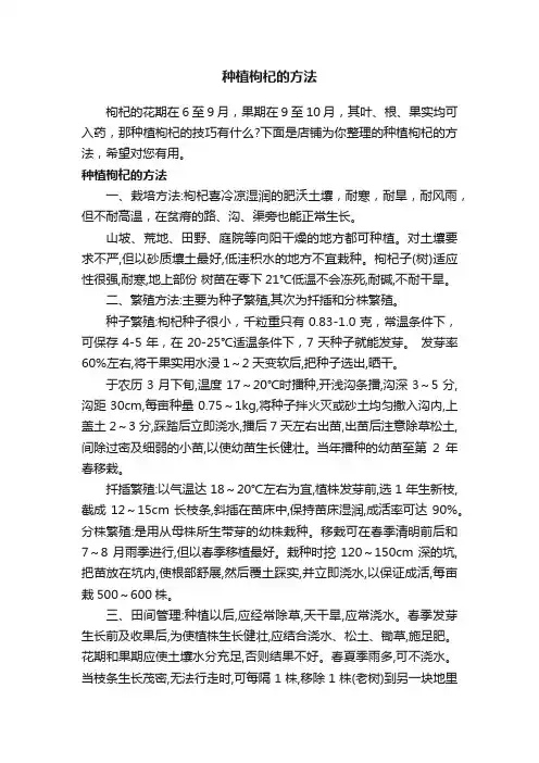 种植枸杞的方法