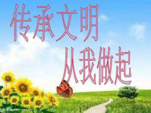 传承文明从我做起PPT课件