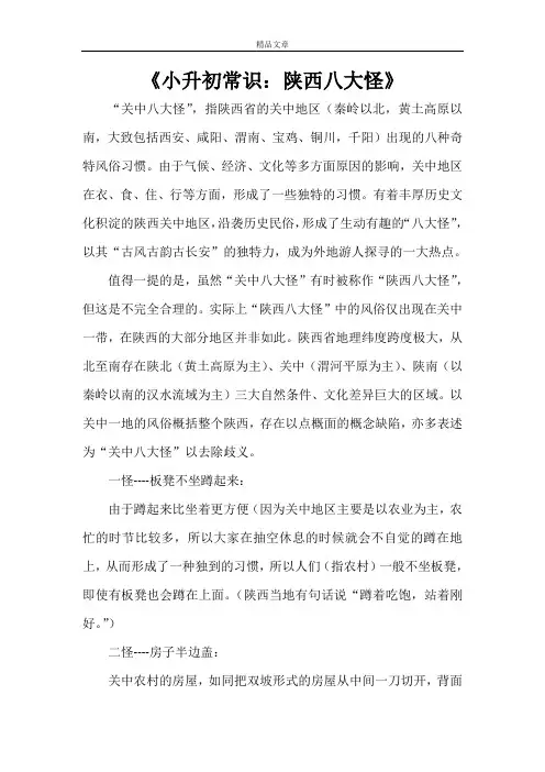 《小升初常识：陕西八大怪》