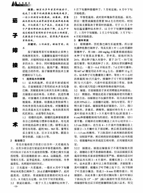 茄子嫁接育苗技术