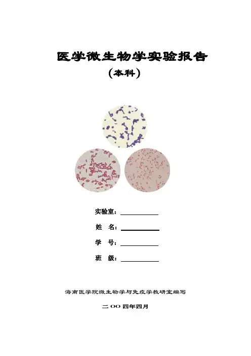 医学微生物学实验报告