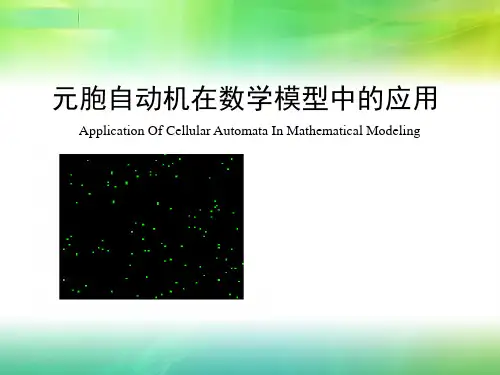 元胞自动机在数学模型中的应用