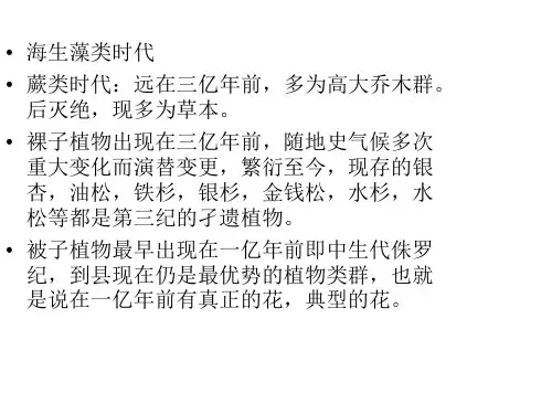 被子植物门