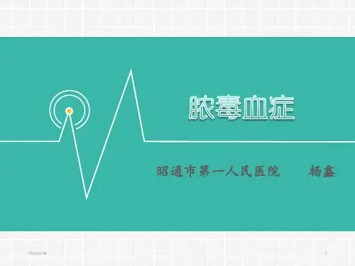 脓毒血症PPT课件
