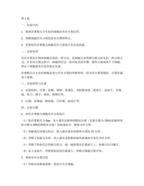 观察根尖分生实验报告(3篇)