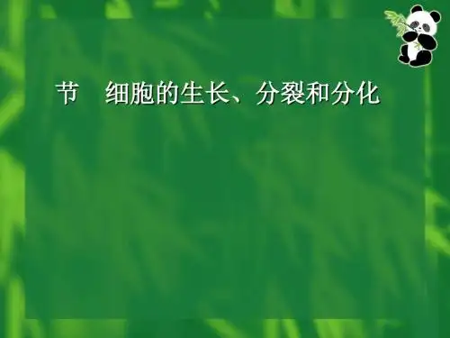细胞的分裂和分化PPT课件1 苏科版
