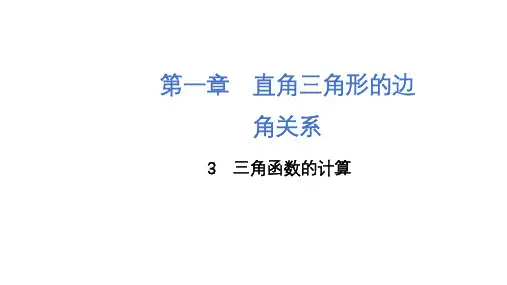 北师大版九年级下册数学三角函数的计算课件