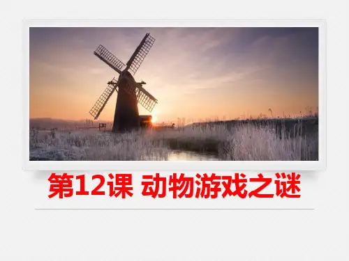 《动物游戏之谜》.PPT公开课