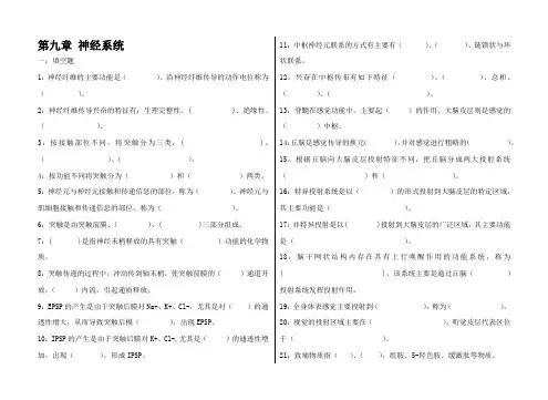 神经系统