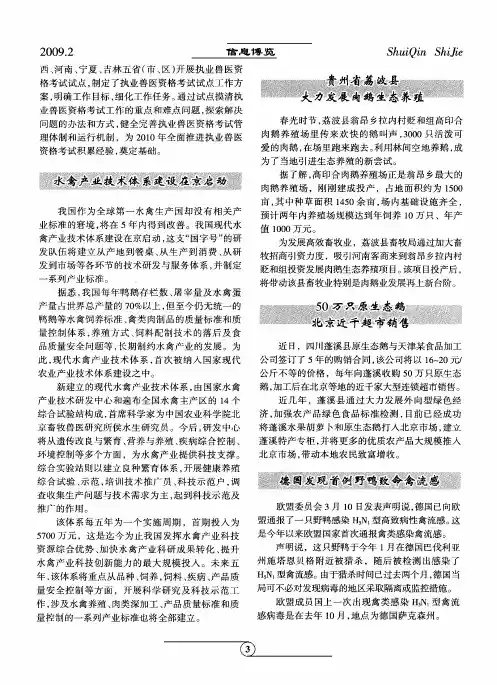 50万只原生态鹅北京近千超市销售