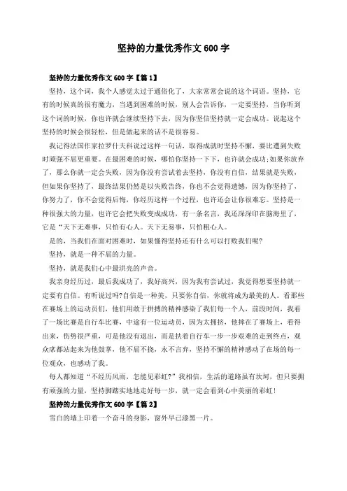 坚持的力量优秀作文600字
