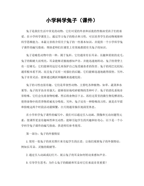 小学科学兔子(课件)