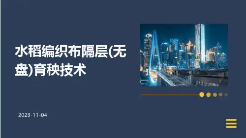 水稻编织布隔层(无盘)育秧技术