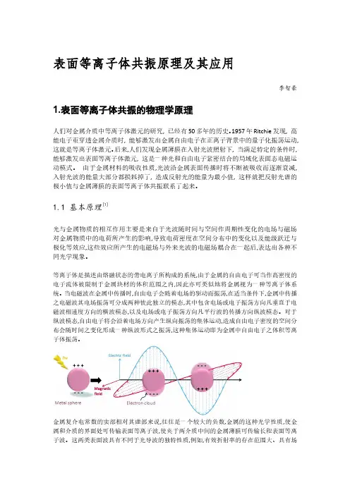 表面等离子体共振原理及其化学应用