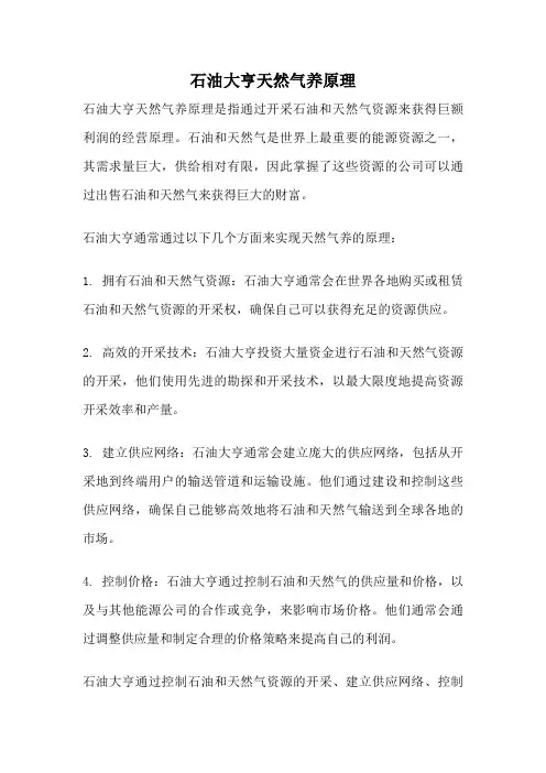 石油大亨天然气养原理
