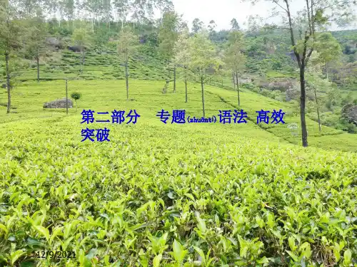 中考英语 第二部分 专题语法 高效突破 专项12 简单句课件