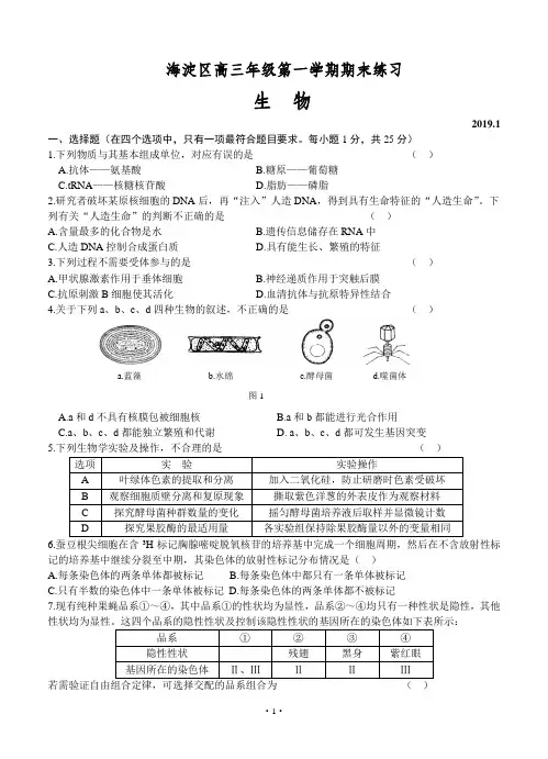 北京市海淀区2019届高三上学期期末考试 生物
