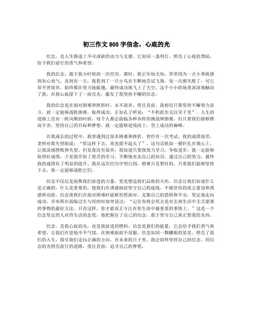 初三作文800字信念,心底的光