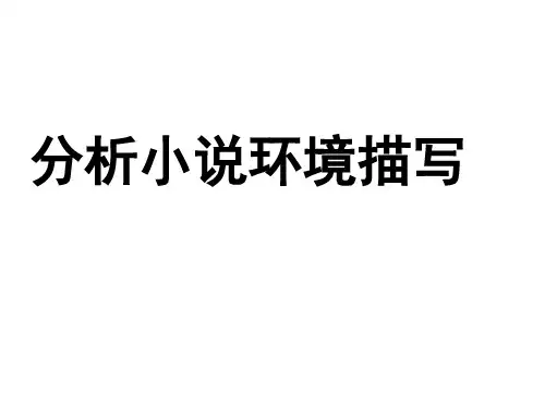 小说阅读之环境描写(2013)
