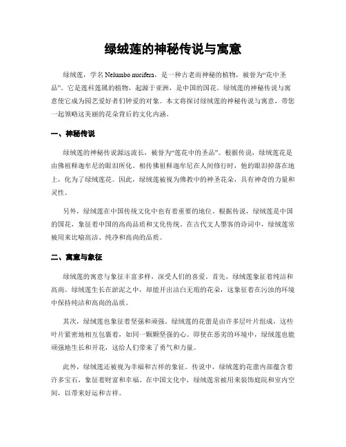 绿绒莲的神秘传说与寓意