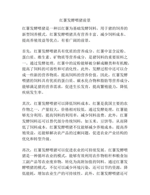 红薯发酵喂猪前景