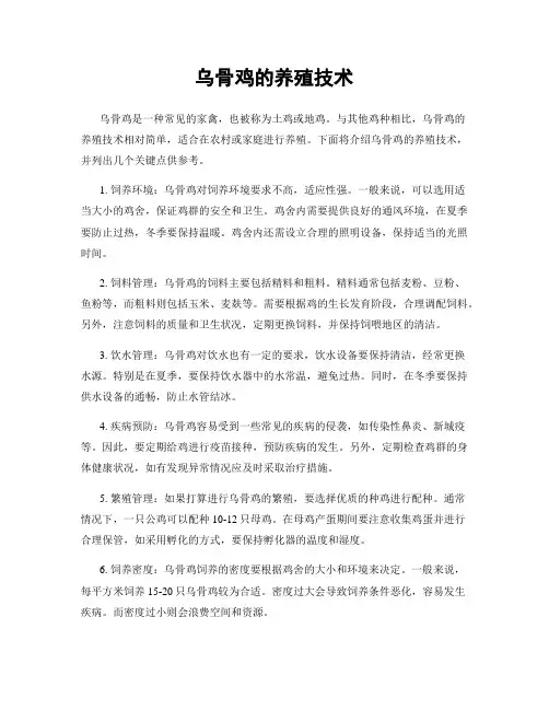 乌骨鸡的养殖技术