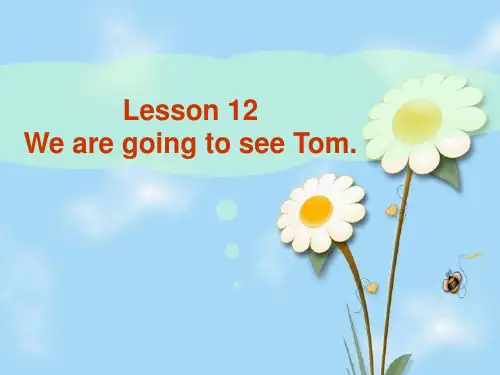 陕旅版六年级英语上册《Lesson 12 We are going to see》精品课件
