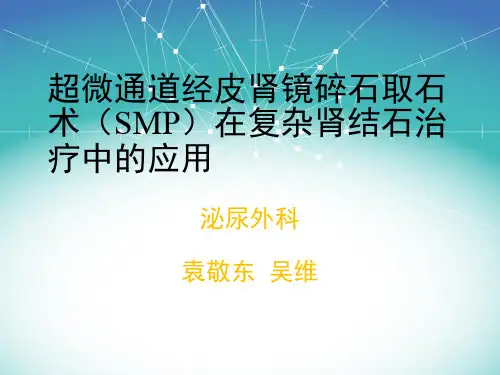 超微通道经皮肾镜碎石取石术PPT课件