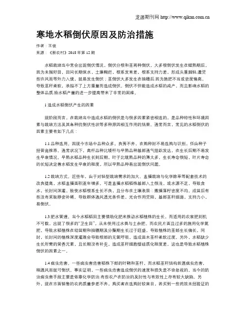 寒地水稻倒伏原因及防治措施