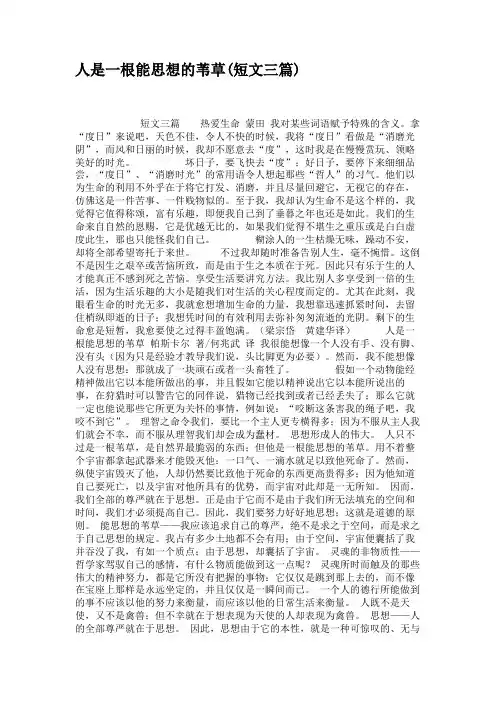 人是一根能思想的苇草(短文三篇).