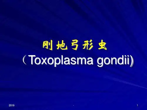医学寄生虫学弓形虫ppt课件