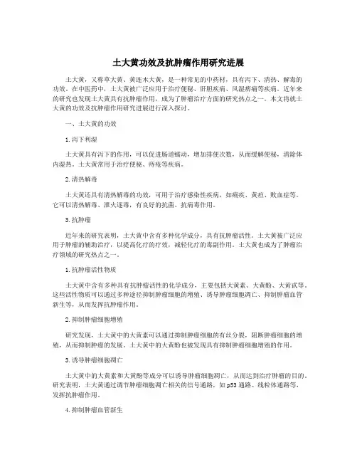 土大黄功效及抗肿瘤作用研究进展