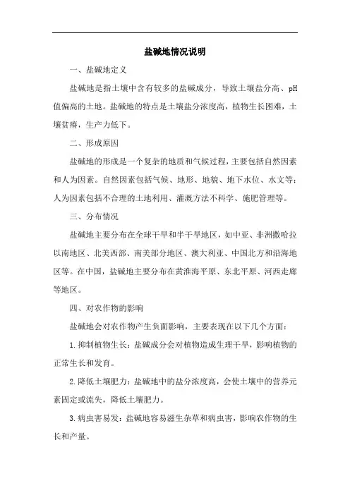 盐碱地情况说明