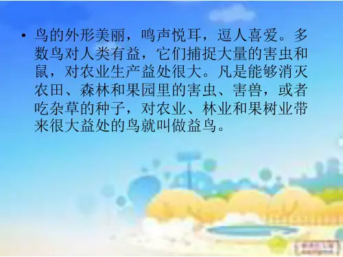小鸟-我们的好朋友ppt课件