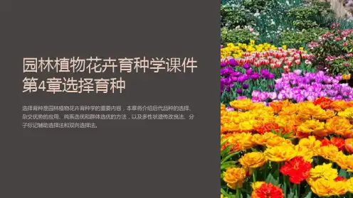 园林植物花卉育种学课件第4章选择育种