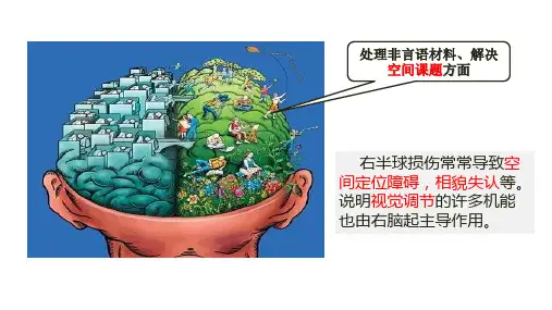 记忆区域空间位置记忆课件