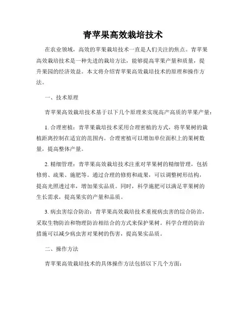 青苹果高效栽培技术