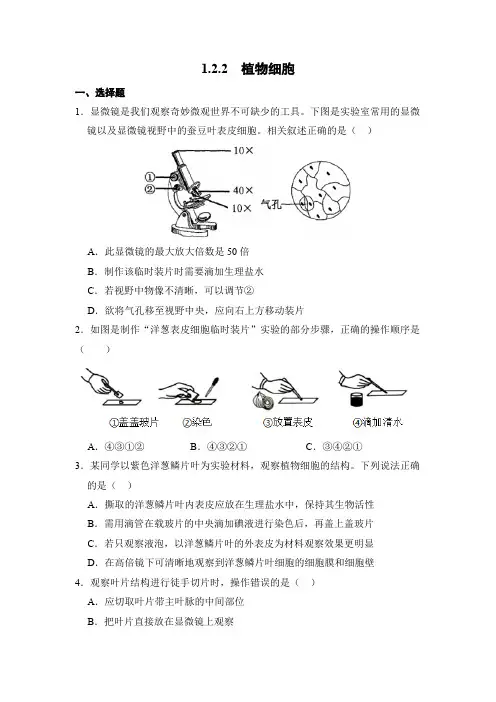 生物人教版(2024)版七年级上册1.2.2 植物细胞 课时练 含答案03