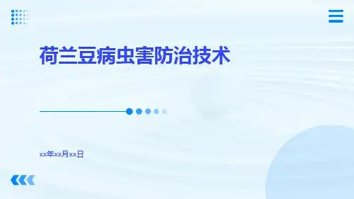 荷兰豆病虫害防治技术