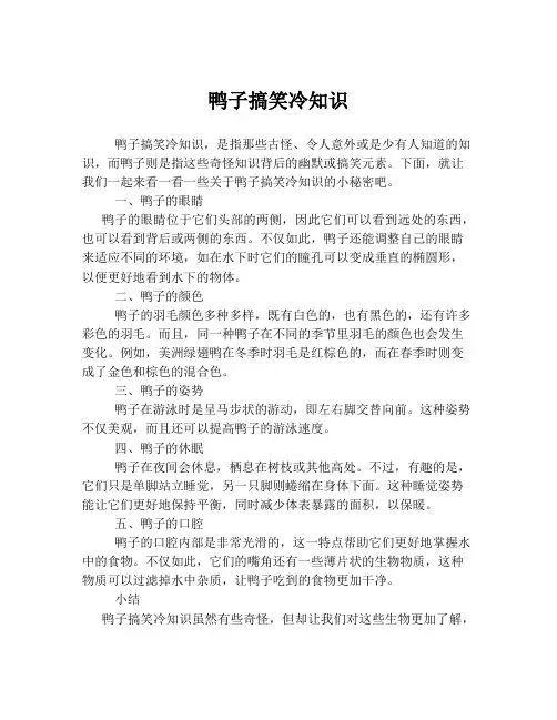 鸭子搞笑冷知识