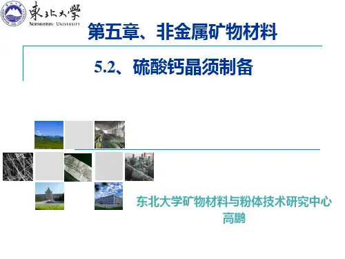 资源型矿物简介、硫酸钙晶须