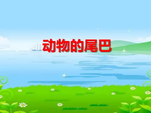 中班科学《动物的尾巴》ppt课件
