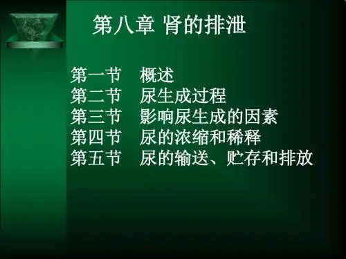肾的排泄