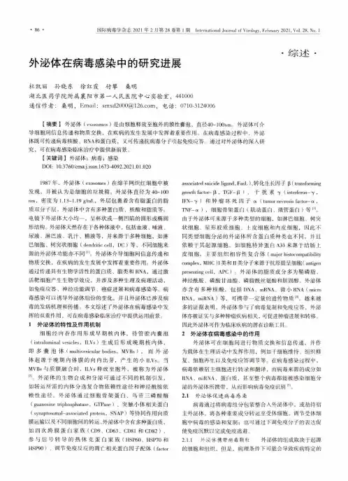 外泌体在病毒感染中的研究进展