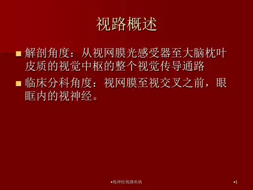 视神经视路疾病课件