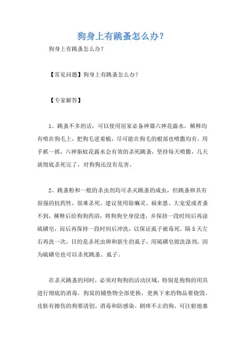 狗身上有跳蚤怎么办？