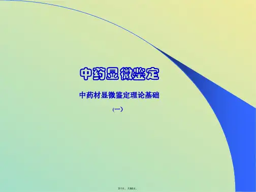 药典显微鉴别(共88张PPT)