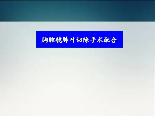 胸腔镜肺叶切除手术配合及护理  ppt课件