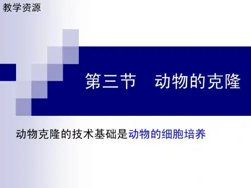 动物的克隆