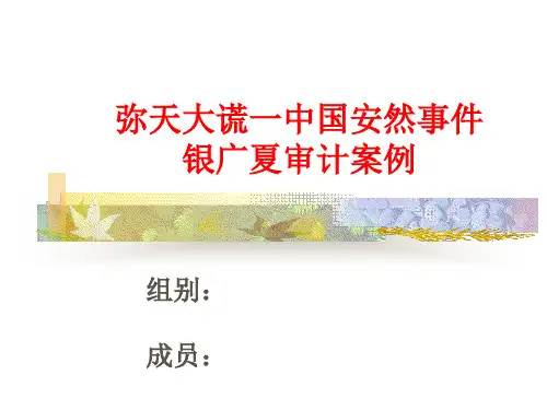 银广夏案例分析